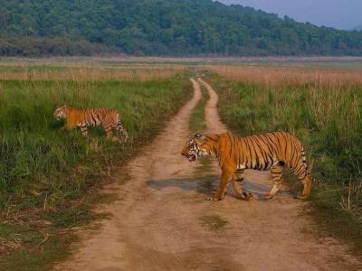 Jim Corbett